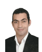 Amr S. Razeen